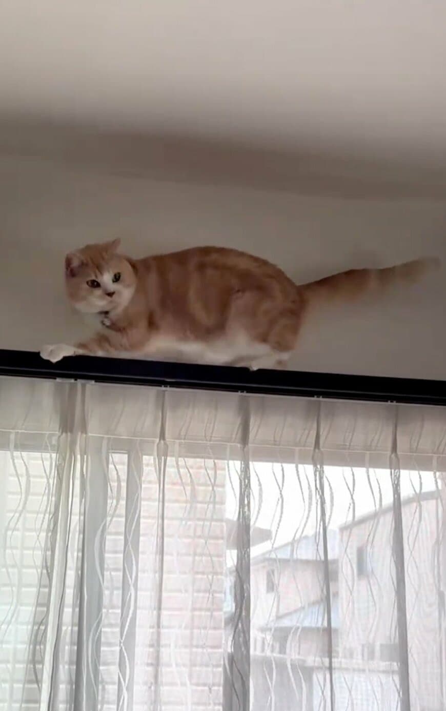 出所：@sorakai0905