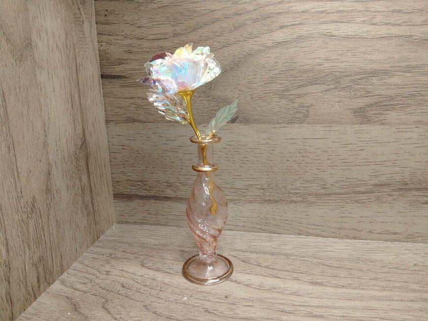 筆者撮影（セリア、ミニオーロラローズ）