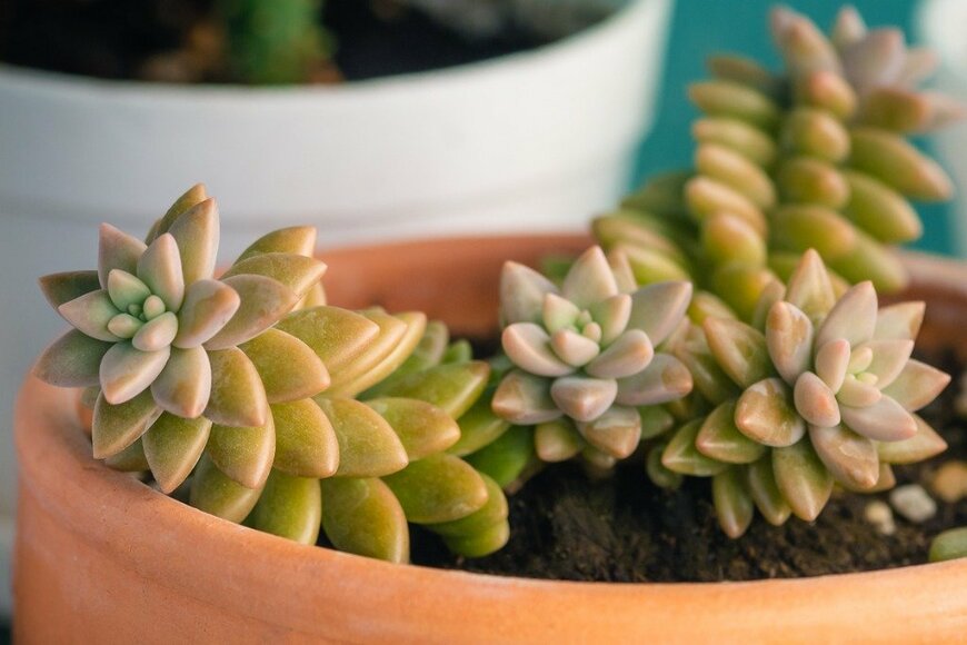 Altinosmanaj/istockphoto.com