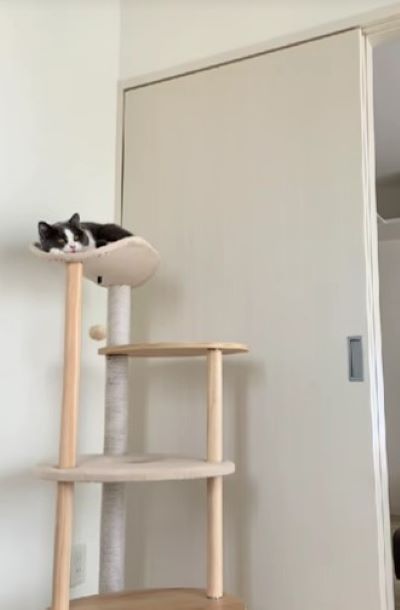 出所：@creo101creo