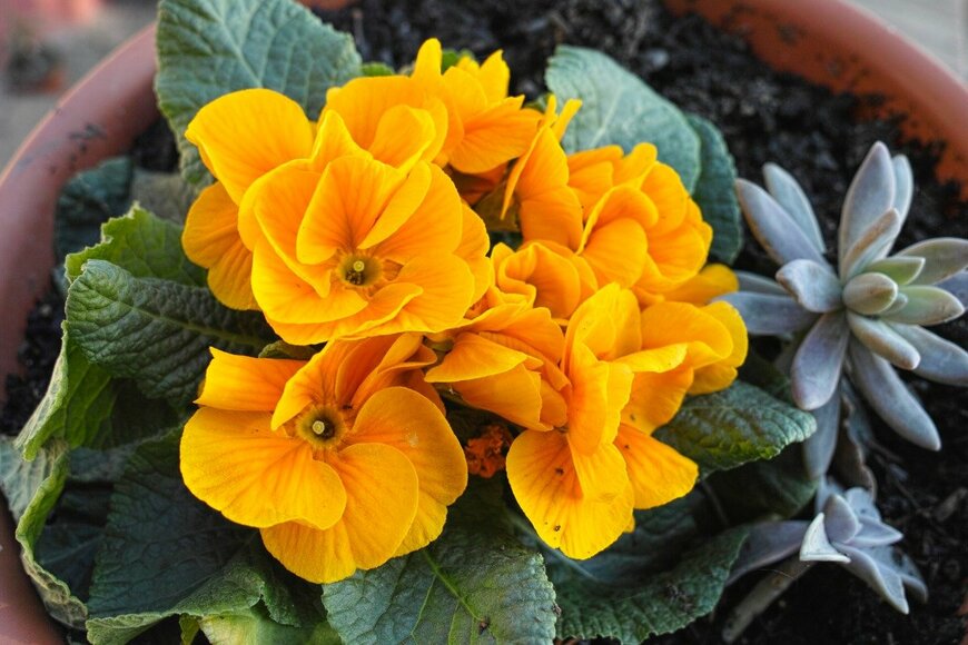 viti/istockphoto.com