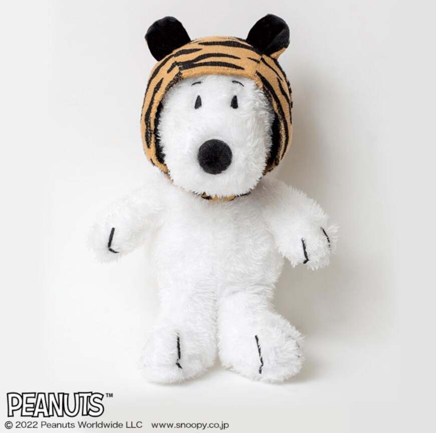 画像出典：宝島社公式