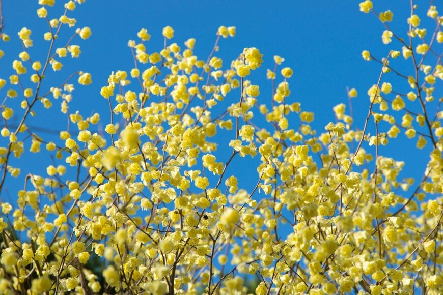 itasun/istockphoto.com