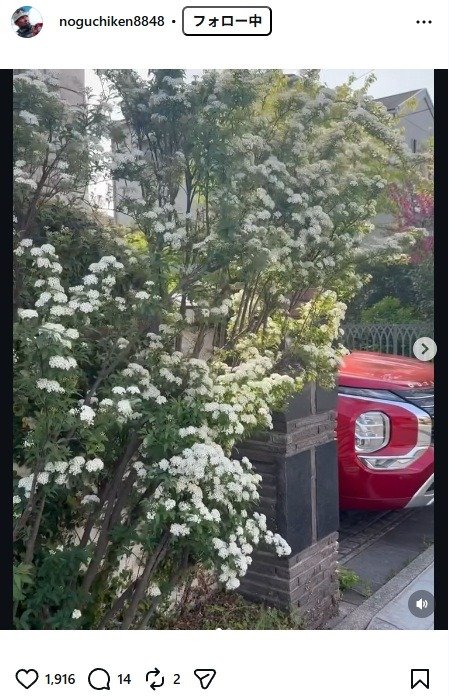 出所：野口健のInstagram（＠noguchiken8848）　参照日：2026年4月16日