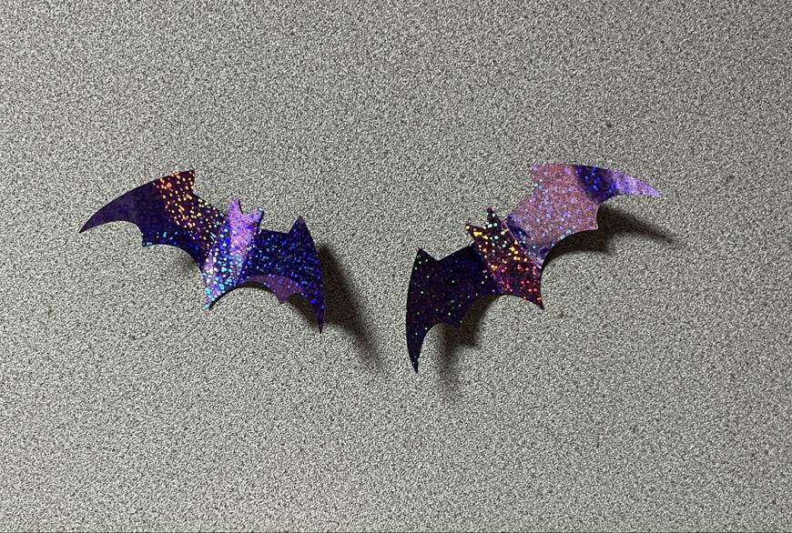 筆者撮影（セリア、ソリッドウォールステッカー こうもり6P）