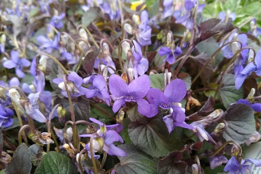 John Caley/istockphoto.com