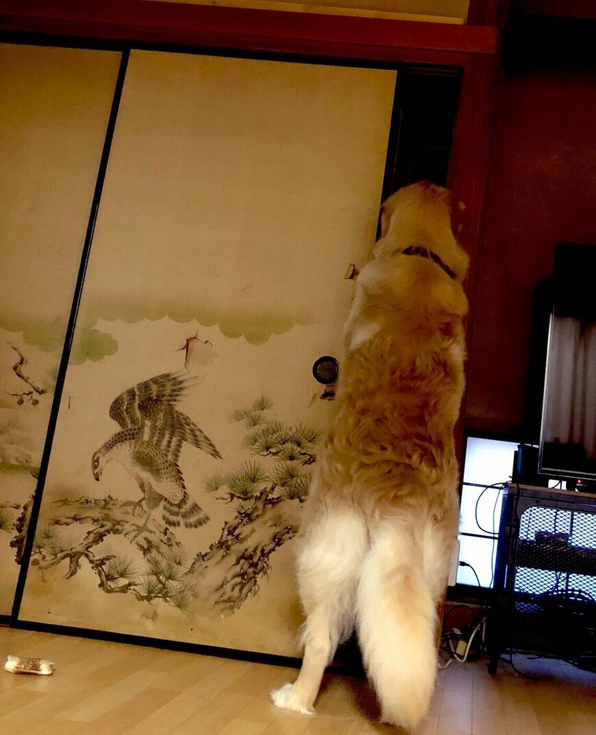 出所：@elmo_golret