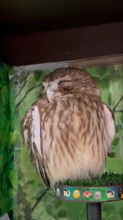 出所：@cr8673.hiro