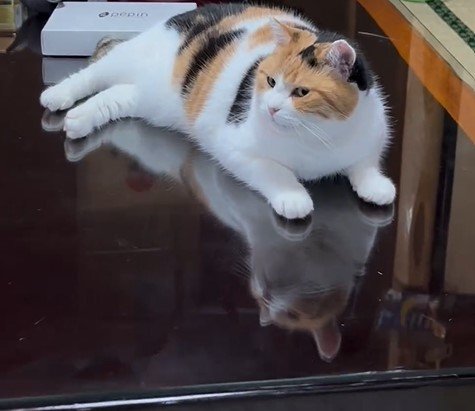 出所：@mike_noritama