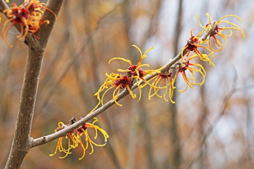 igaguri_1/istockphoto.com