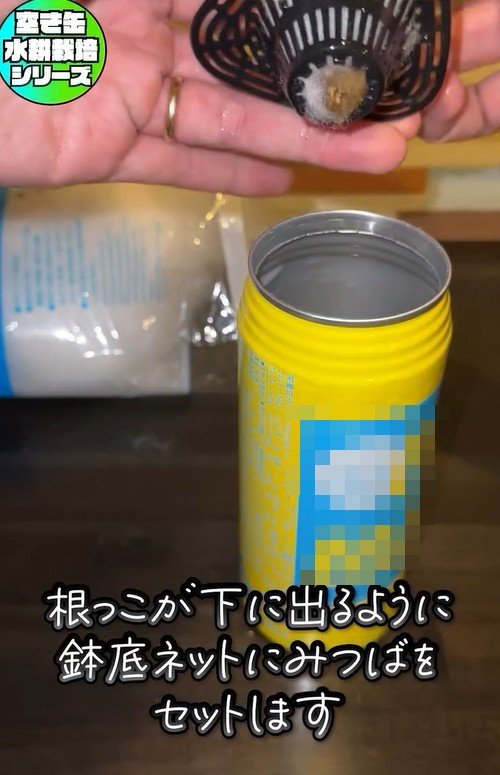 出所：@mikanbo_ya19_87