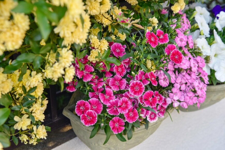 Orthosie/istockphoto.com