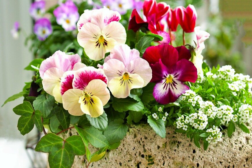 syan/istockphoto.com