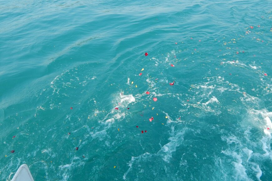 Mtaya/shutterstock.com