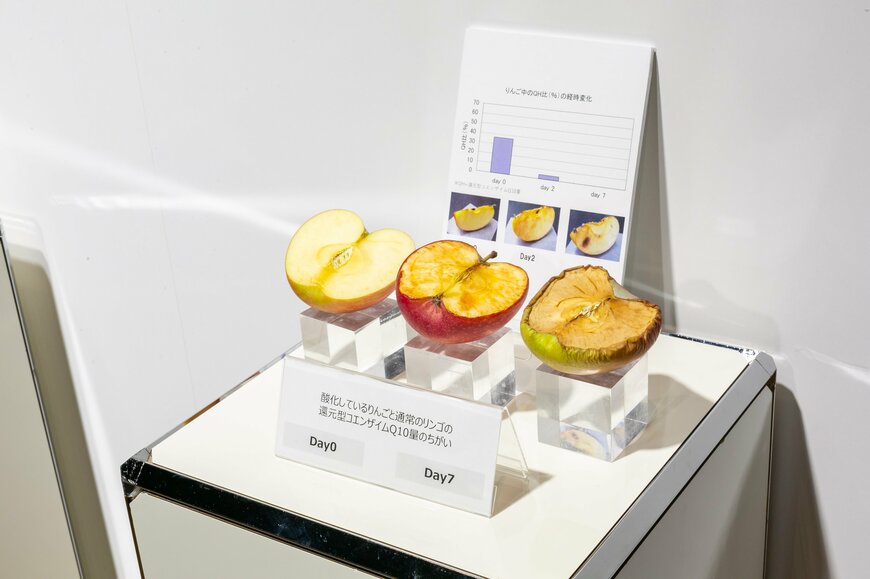 出所：株式会社カネカ