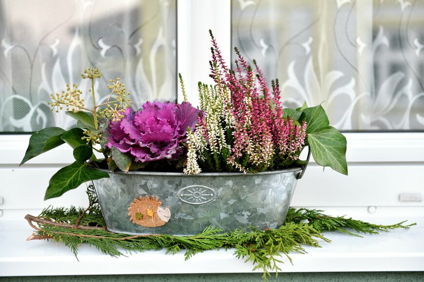 NagyG/Shutterstock.com