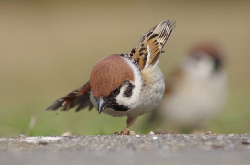 出所：@aerial2009