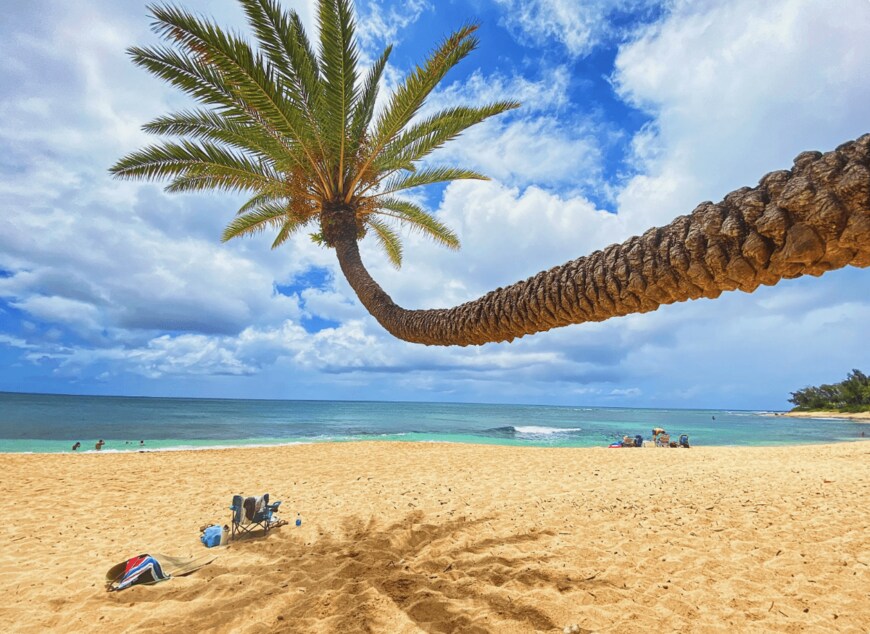 画像出所：klook