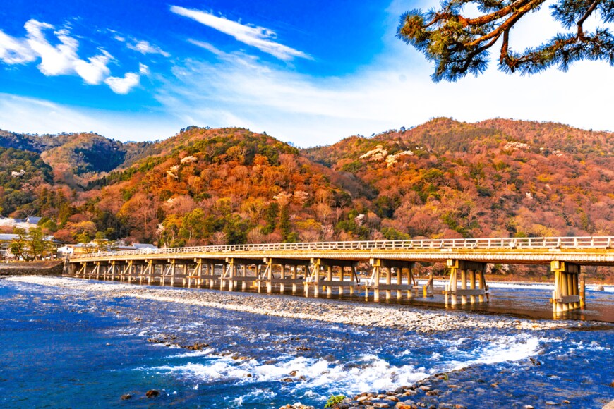 shutterstock.com/DRN Studio