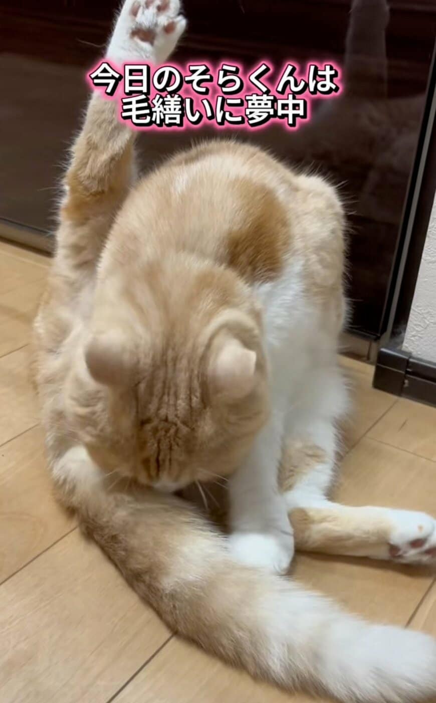 出所：@sorakai0905