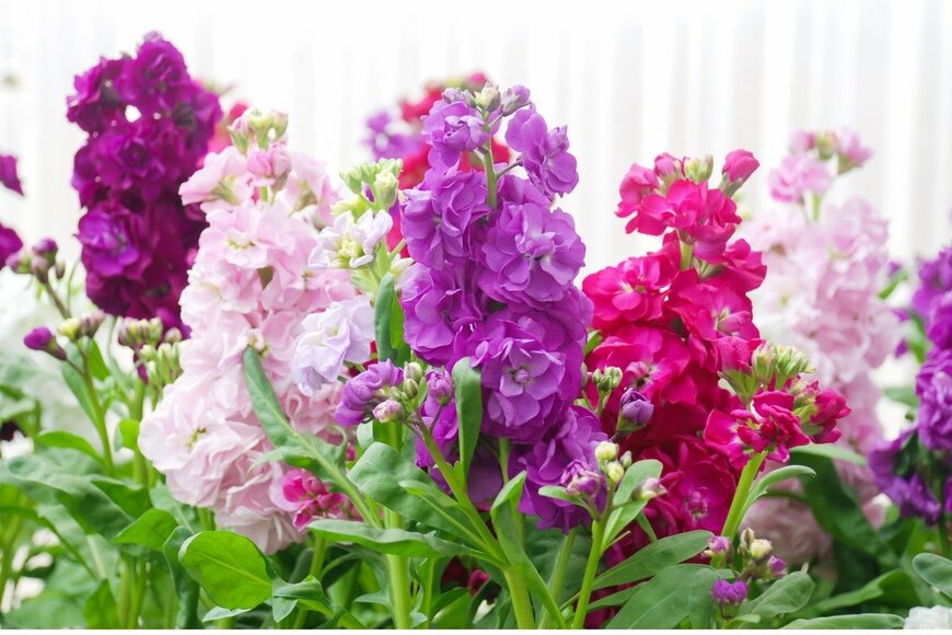 Pinrath Phanpradith/istockphoto.com