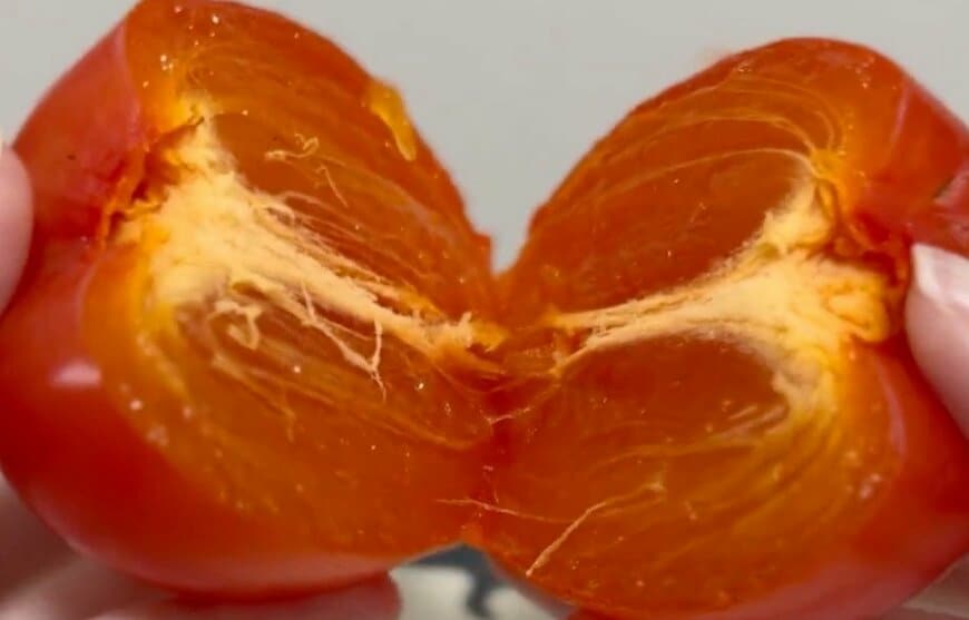 出所：@MAFF_JAPAN