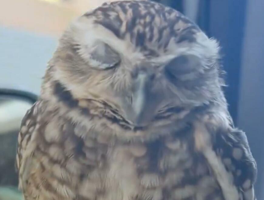 投稿動画のワンシーン