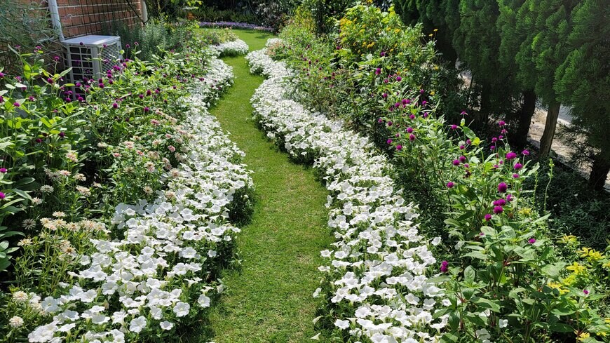 わが家の庭の写真