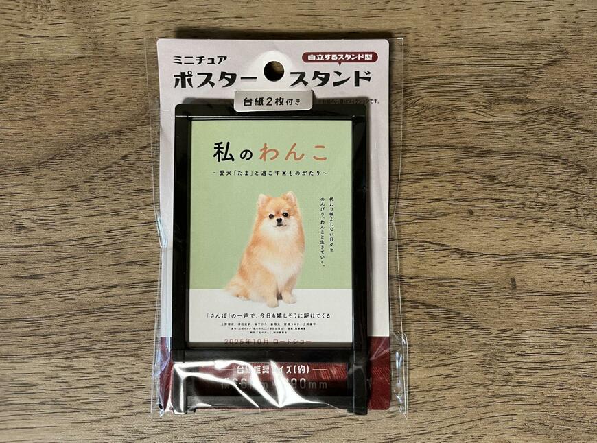キャンドゥ、ミニチュアポスタースタンド画像