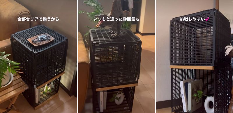 完成した「高見え収納棚」