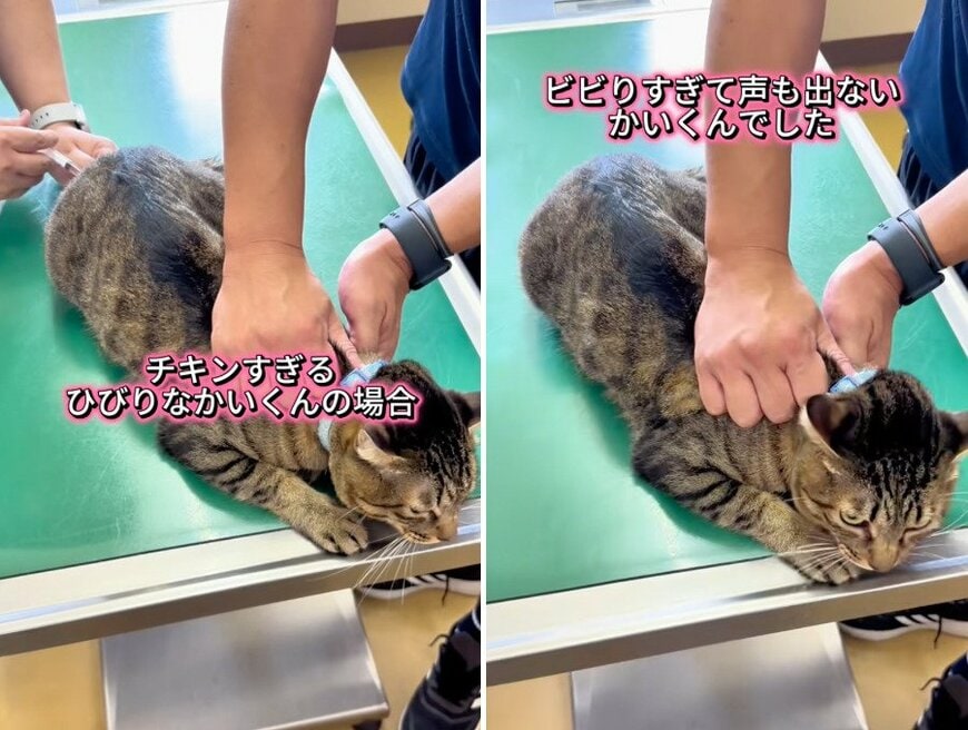 投稿の画像