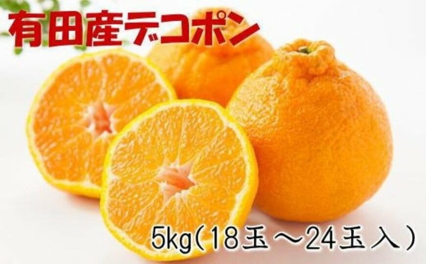 出所：<u><a href="https://www.furusato-tax.jp/product/detail/30366/4859456" target="_blank">ふるさとチョイス 紀州有田産のデコポン約5kg</a></u>