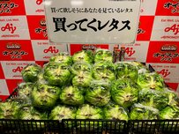 藤原竜也が「顔面協力」したレタスのインパクトが凄い！「目が合ったら絶対買っちゃう」「目的はちゃんとしてる（笑）」と反響