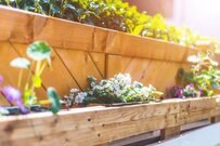 ガーデニングDIY【元ホームセンター店員に聞いた】コスパ優秀DIYお役立ちアイテム5選