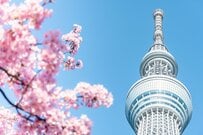 2024年度の年金支給日はいつ？年金額2.7％増へ【年金一覧表】60歳～90歳以上の「厚生年金・国民年金」平均月額はいくらか