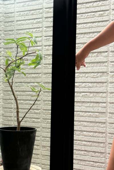 パンサー尾形のAmeba公式ブログ投稿
