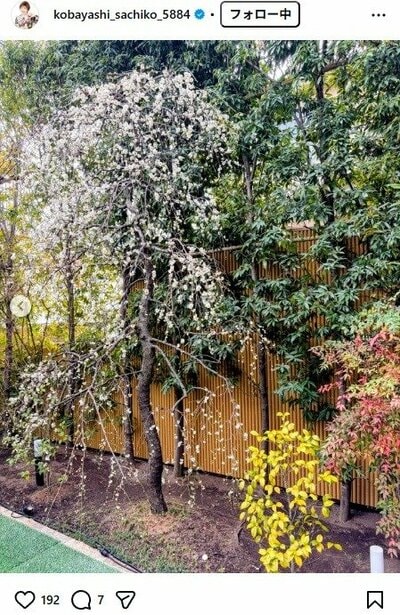 小林幸子のInstagram投稿