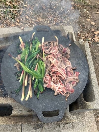 投稿の画像
