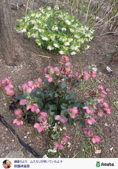 假屋崎省吾の公式ブログ投稿