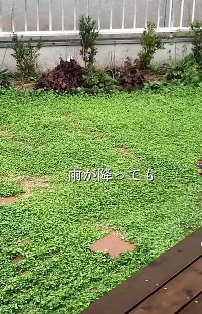 投稿動画のワンシーン