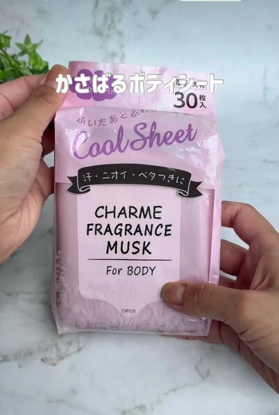 変身前のボディシート