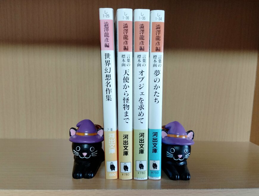 筆者撮影（セリア、リトルフレンドキャットJ・O・L）