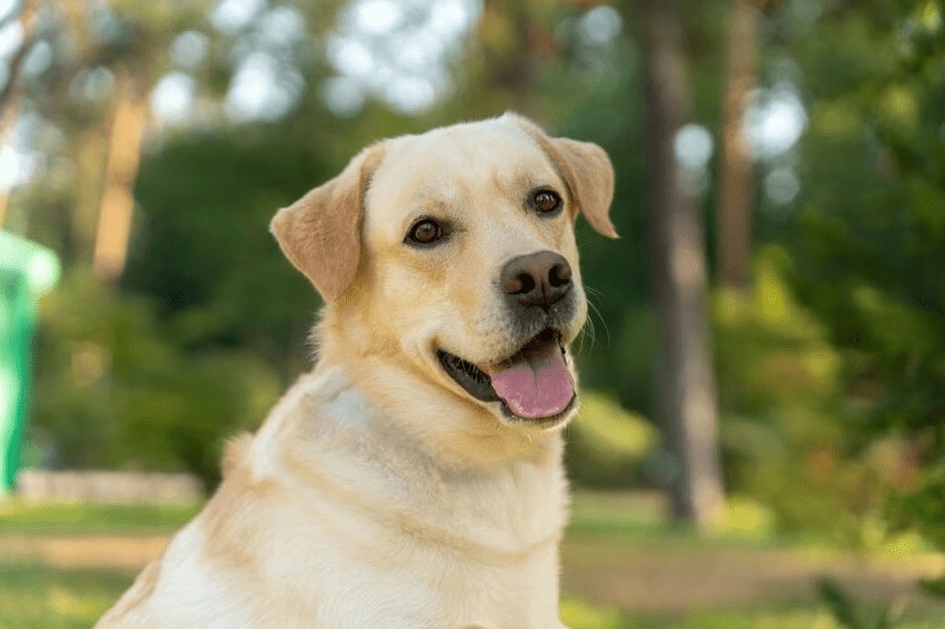 Sklo Studio/shutterstock.com