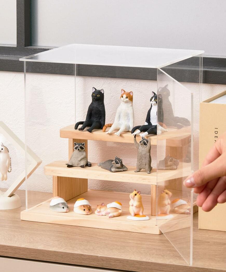 出所：パルグループ公式ファッション通販サイト 3COINS 階段付きアクリルディスプレイボックス／カプセルトイコレクション