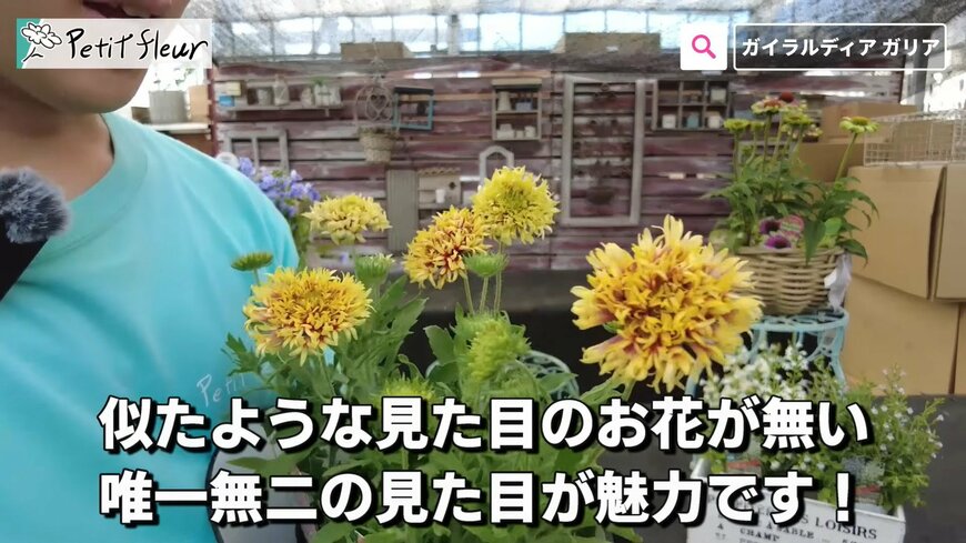 出所：@petit_fleur