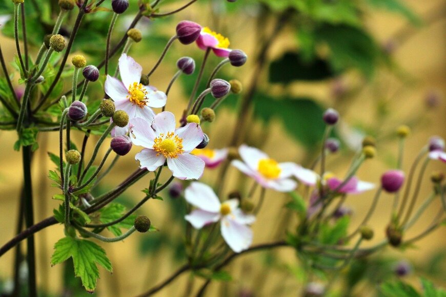 aquatarkus/istockphoto.com