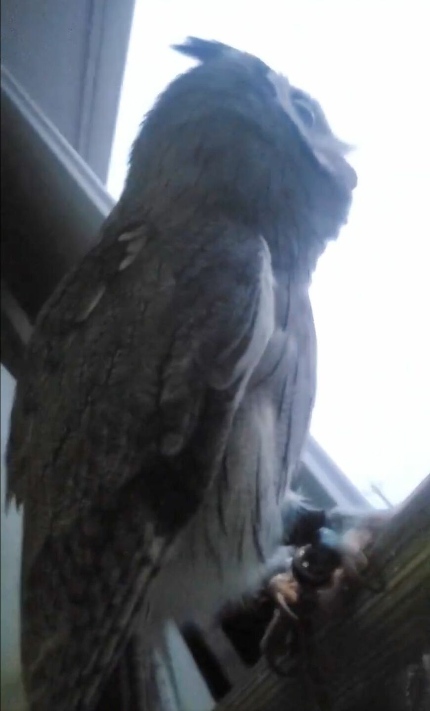 出所：@joker1999jr