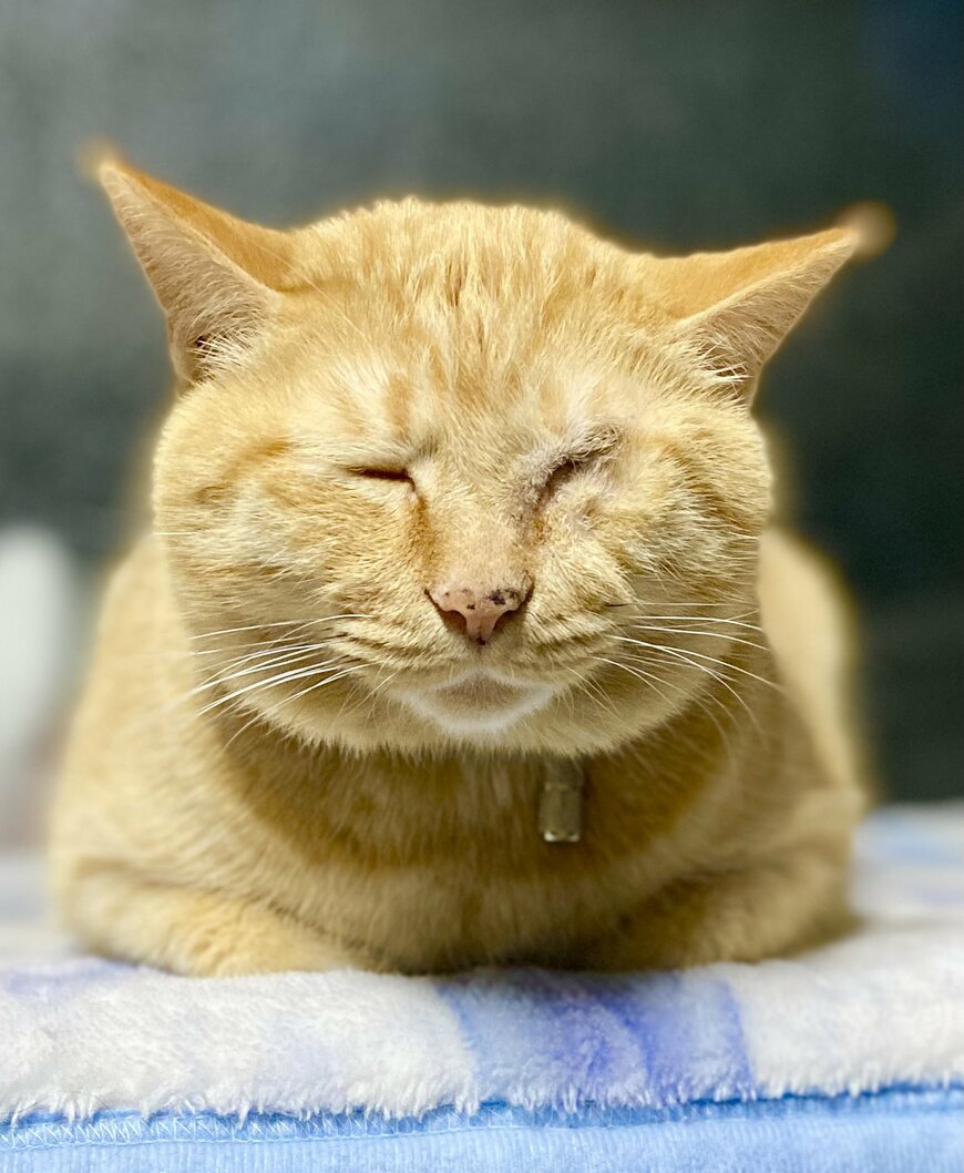 出所：@luna7taka9