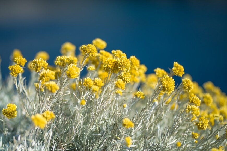 ndriy Tkachenko/Shutterstock.com