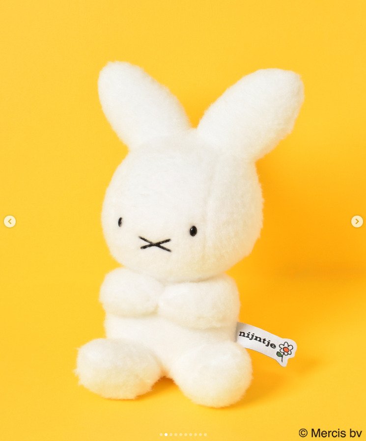 出所：ブルーブルーエ公式Instagra